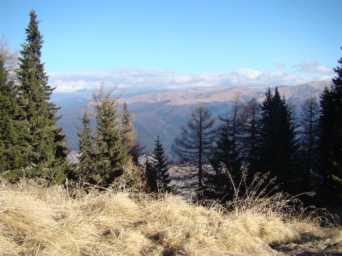 DSC08891 - Bucegi Decembrie 2011