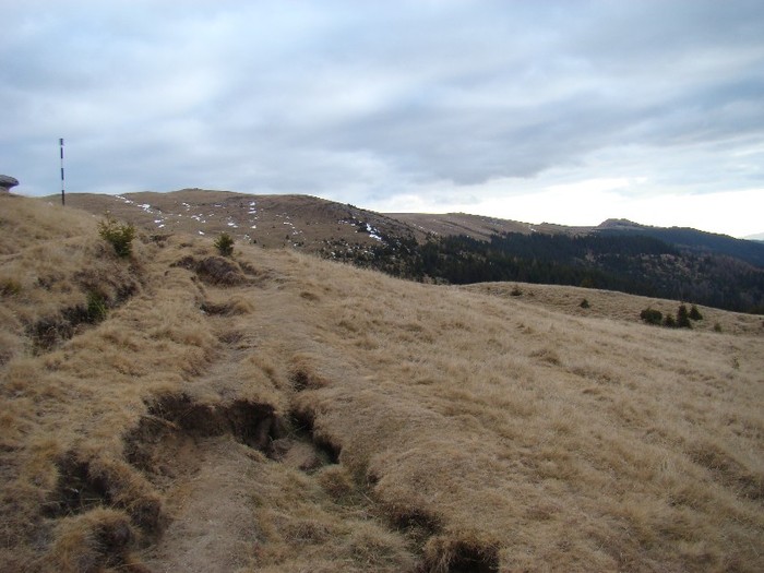 DSC08922 - Bucegi Decembrie 2011