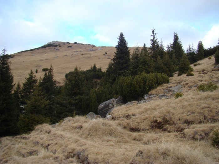 DSC08923 - Bucegi Decembrie 2011