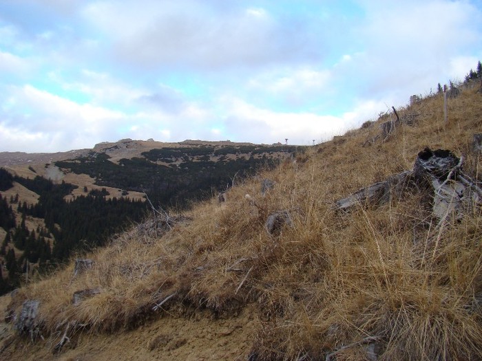 DSC08925 - Bucegi Decembrie 2011