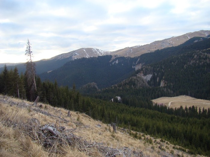 DSC08926 - Bucegi Decembrie 2011