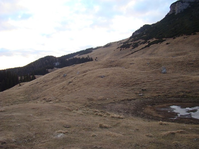 DSC08930
