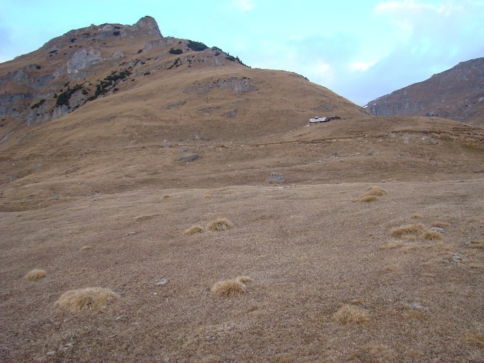 DSC08931