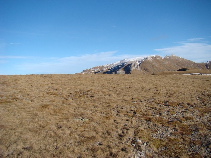DSC08972 - Bucegi Decembrie 2011