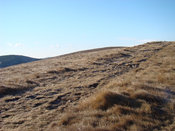 DSC08978 - Bucegi Decembrie 2011