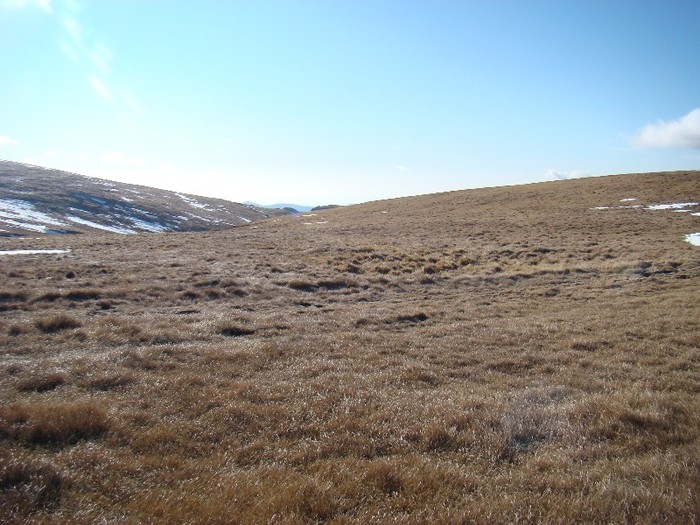 DSC08988