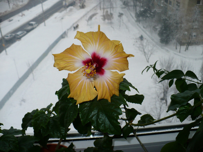 15 feb