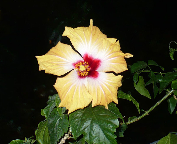 P1370149