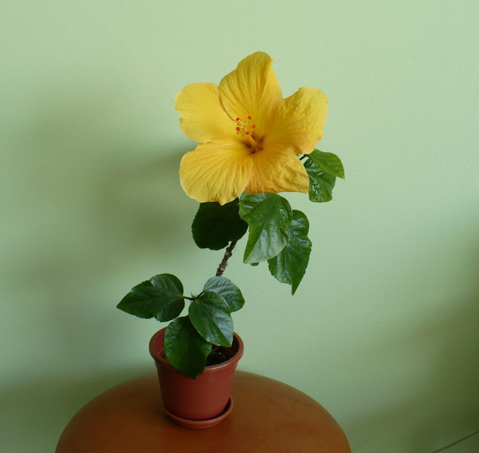 18 feb