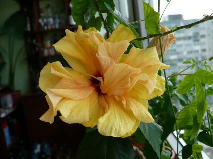 P1370405