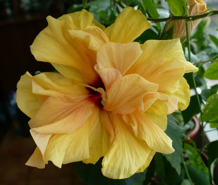P1370406