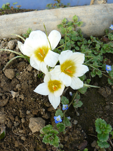 P1020236