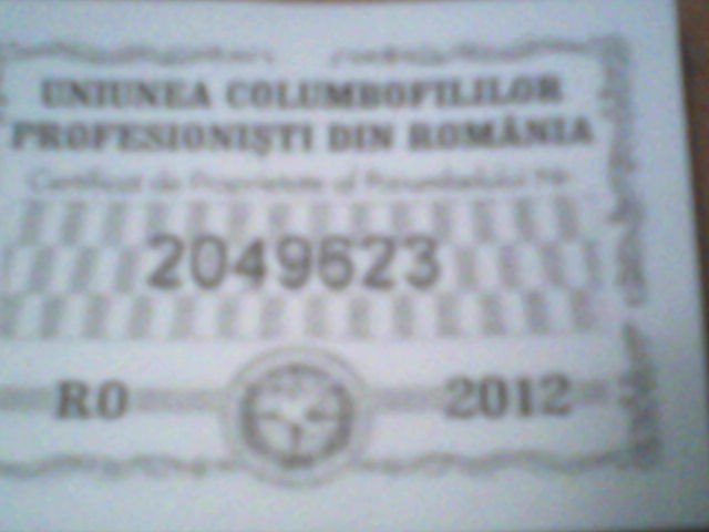 P06-03-12_20.06