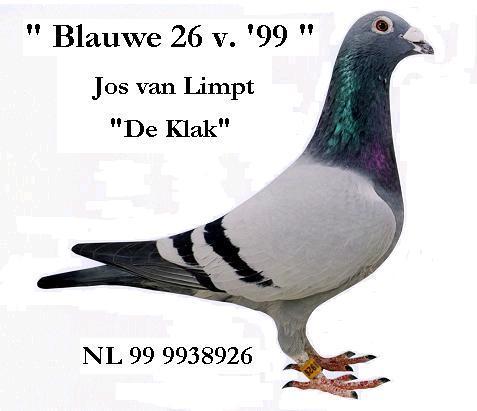 17414561_PNYIXJNBR (1)