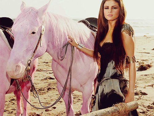 261401_240504782642954_128171003876333_1027174_5214358_n