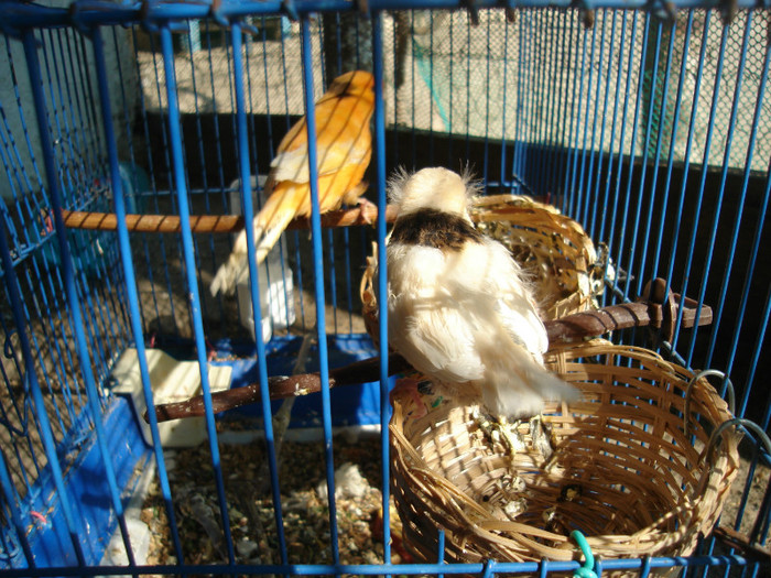 DSC00078