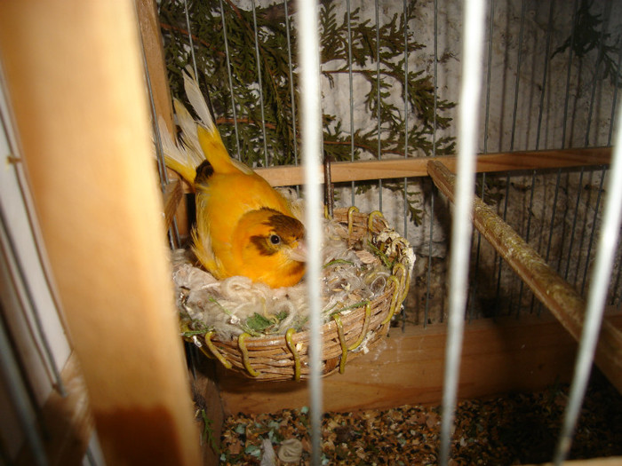 DSC00081