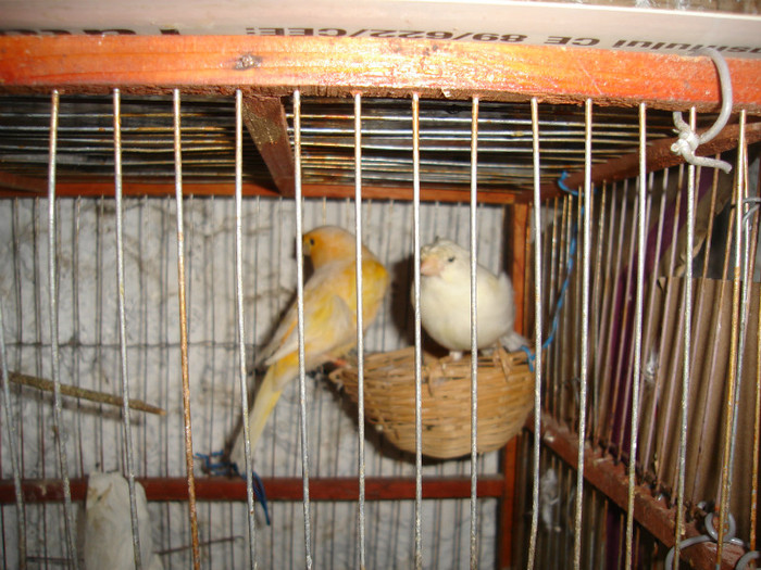 DSC00104