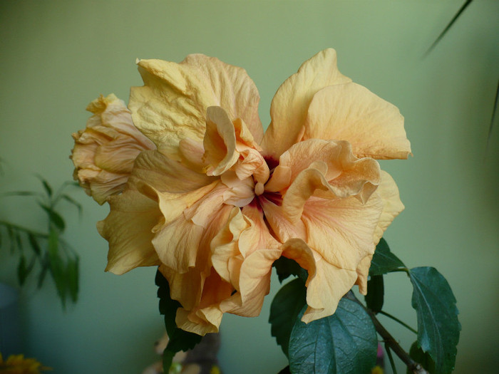 P1370431