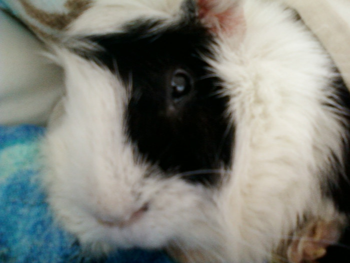 7 martie 2012 024