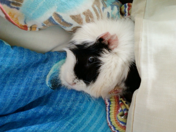 7 martie 2012 010
