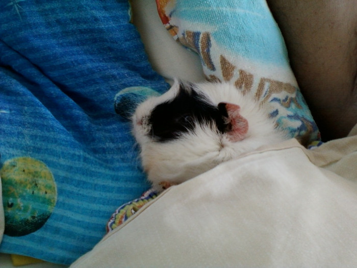 7 martie 2012 011