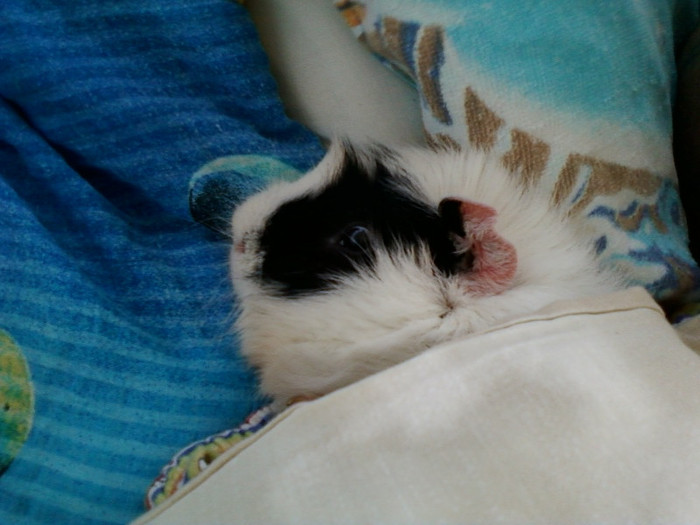 7 martie 2012 013