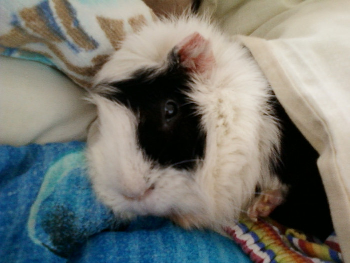 7 martie 2012 020