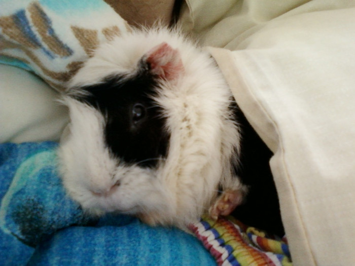7 martie 2012 021