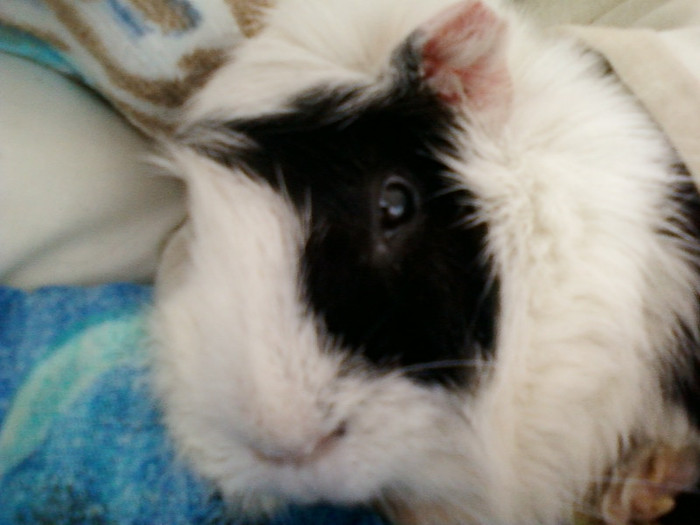 7 martie 2012 022