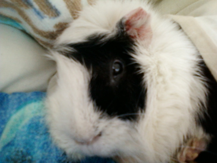 7 martie 2012 023