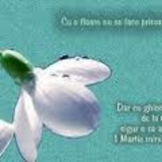 images (23) - urari de 1 martie