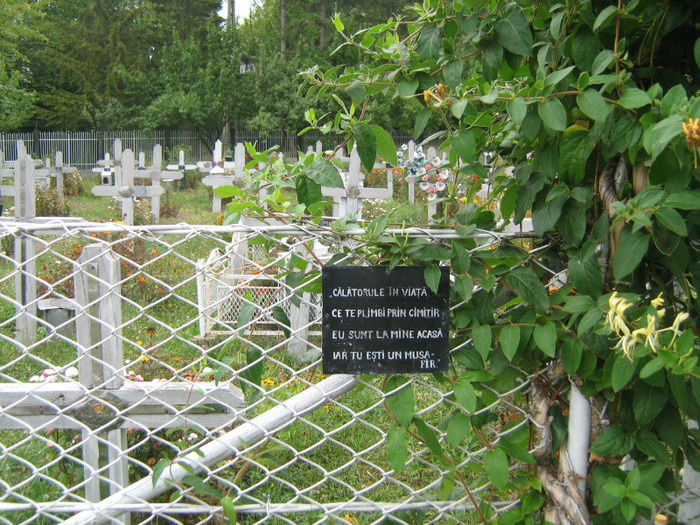 cimitirul
