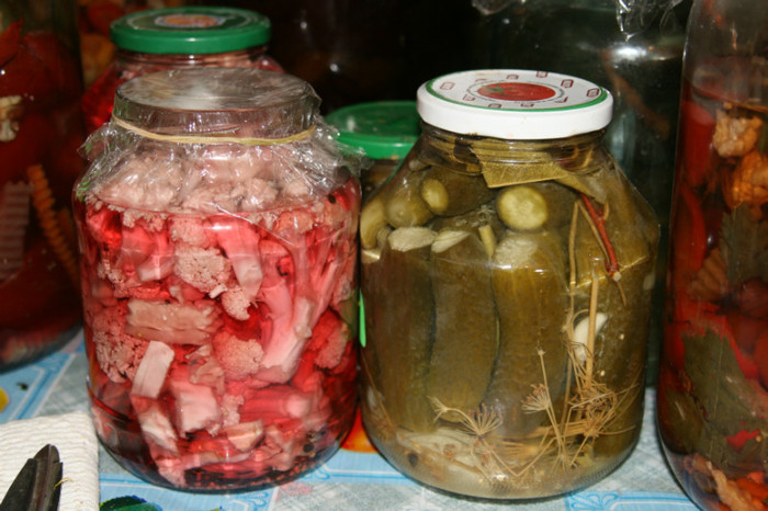 conopida si castraveti