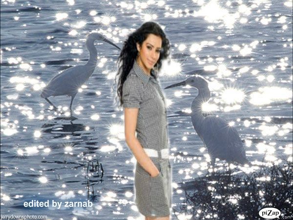 374647_281908778533514_185071281550598_846427_1857781304_n