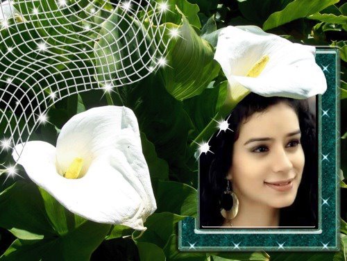 396280_150304265085455_100003176476406_208311_921755143_n