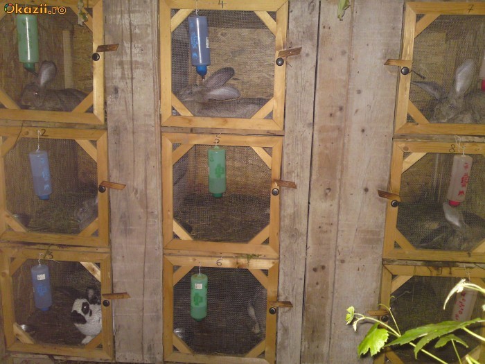 246308265-2568921-700_700