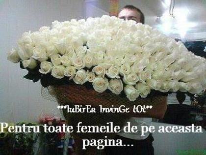 424521_404788836204459_318725254810818_1774388_1478125429_n