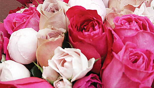 dolci_fiori_per_ogni_stagione_dellanno_intro