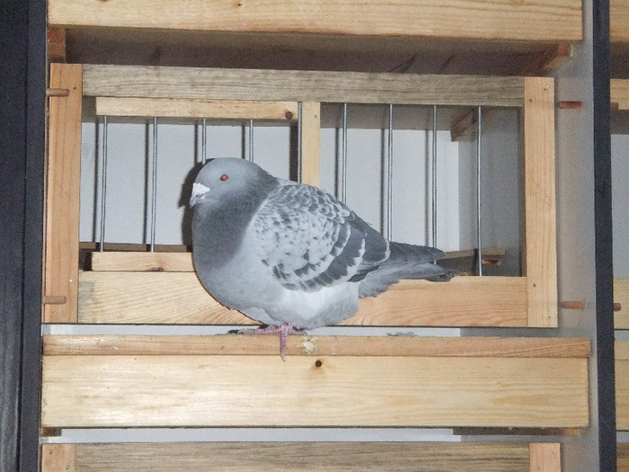 DSCF8732