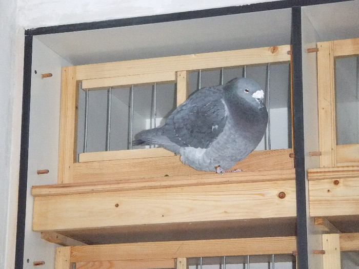 DSCF8735