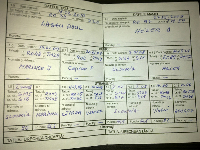 08032012962