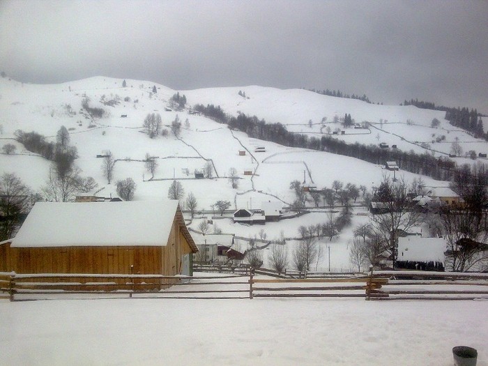 r@LuTzIc@358 - oile mele2012