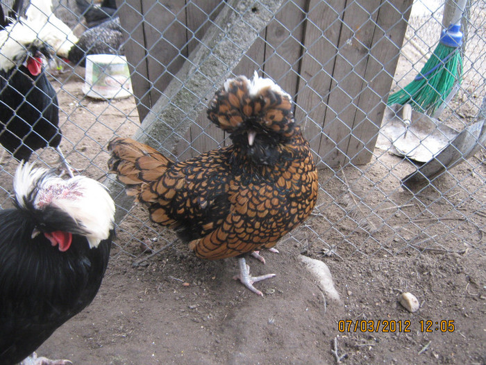 Picture 1123