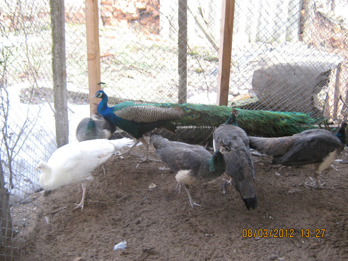 Picture 1206