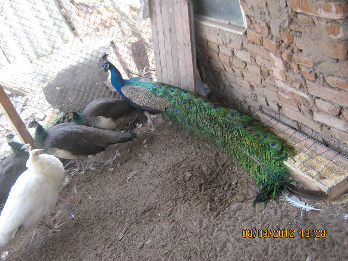 Picture 1211