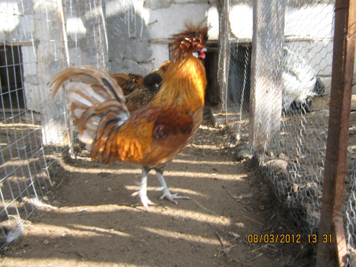 Picture 1224