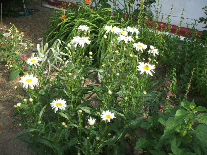 Margarete; Margarete
