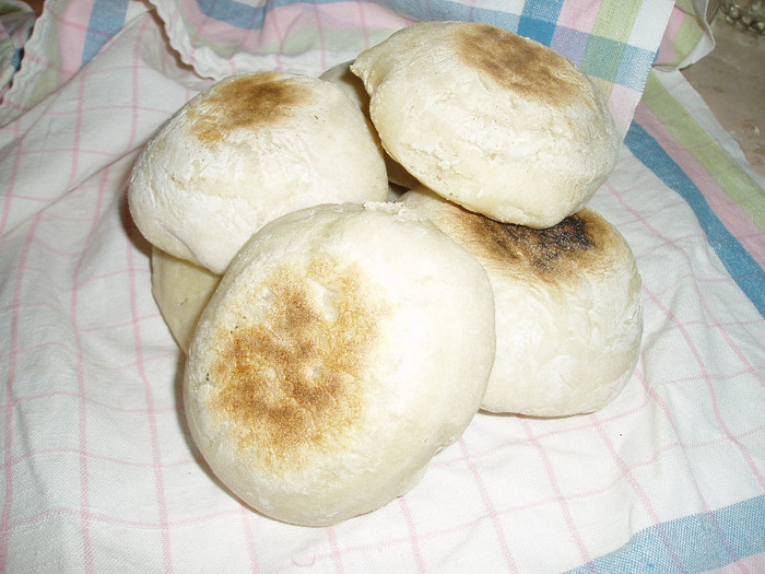 Turtici:))))