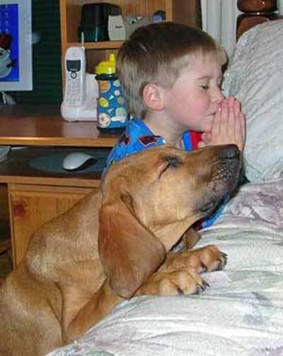 Copia di praying-dog-boy